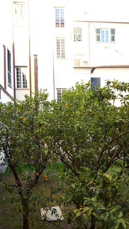 Torre Cepollini Hotel Albenga Kültér fotó